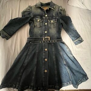 Retrofete denim dress